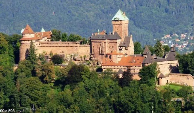 Apartment Bienvenue En Alsace *