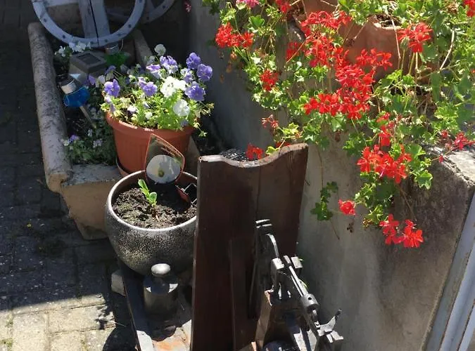 Bienvenue En Alsace Apartment